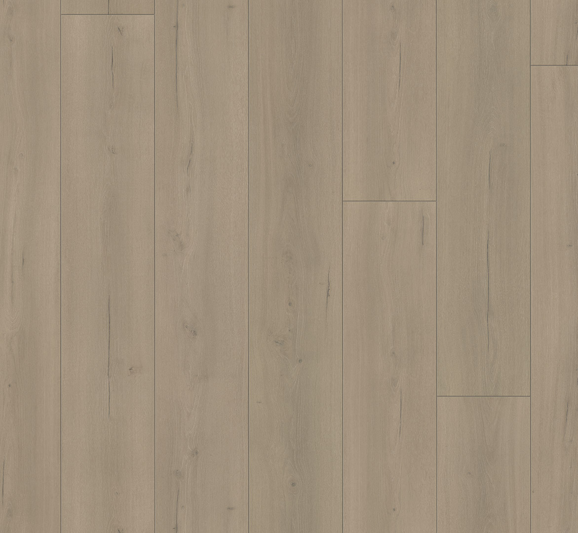 Parquet stratifié Chêne Loft gris Modern Trendtime 6