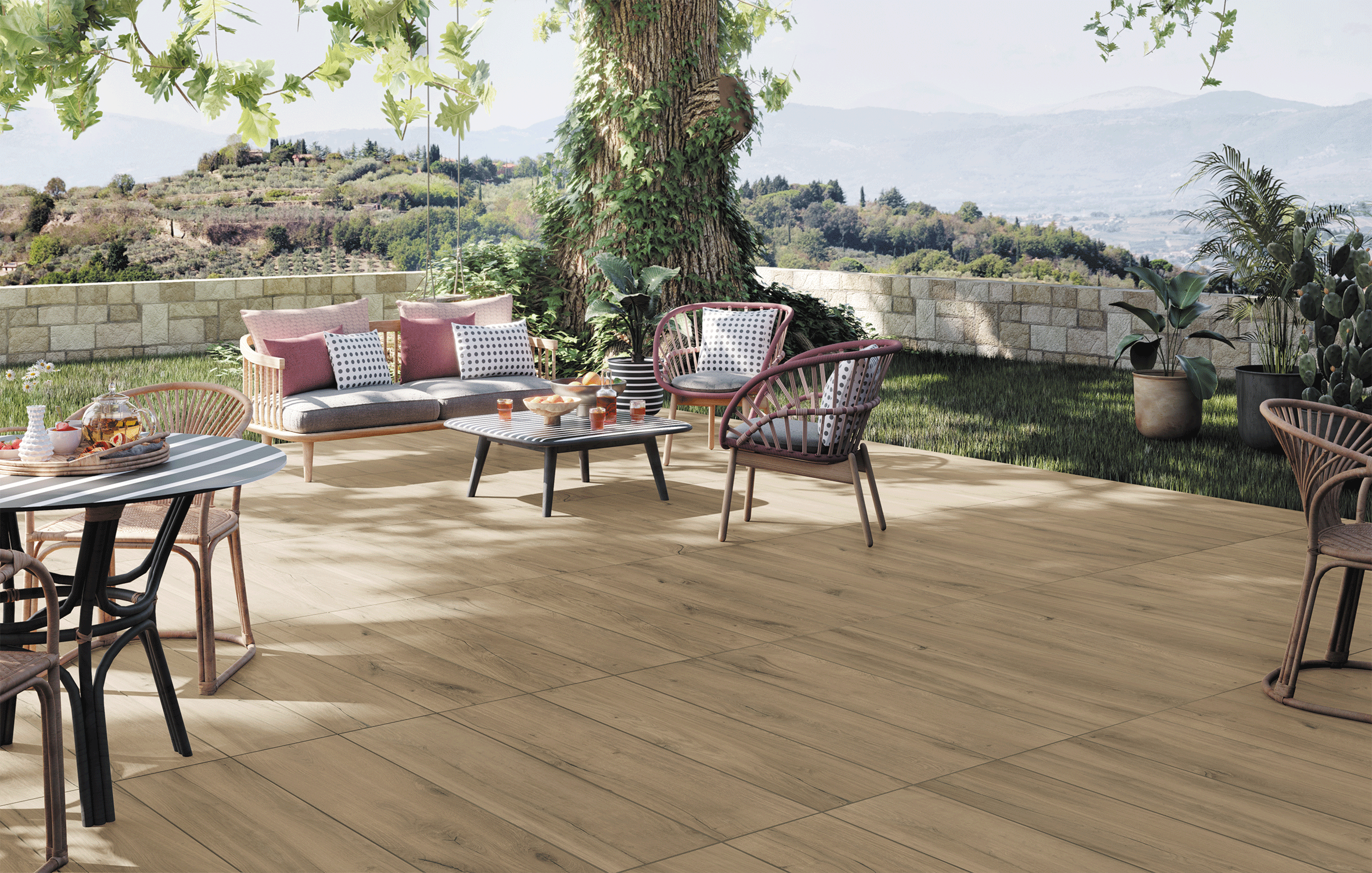 Rovere - Polis – Image 12
